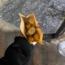 메종드다채로움 - 제주시 광평길 26 | 메종드다채로움