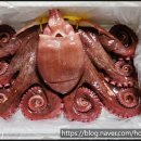 이레시스템 이미지