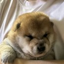 김천실내테니스장 & 김천오토캠핑장 이미지