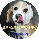 이도메디컬 이미지