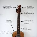 애드실용음악학원 이미지