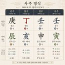 나무랑풀이랑 | 홍대점집 소담타로_ 유쾌한 사장님의 합정역 사주 풀이 후기