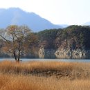 선기로2-5 이미지