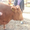 명성농장 이미지