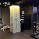 피피랜드 이미지