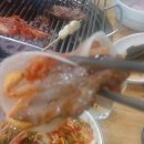 꼴통돼지