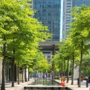 신일장미아파트 이미지