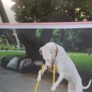 베이비멍 이미지