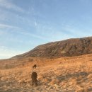 The hill | 아이슬란드 여행기 Day 2 - 골든서클(브루아르포스/게이시르/굴포스) / The Hill Hotel At Flúðir 후기