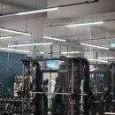 디벨롭짐 이미지