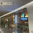 [스타벅스 동대문디자인플라자점] 아이스 화이트 타로 라떼 후기