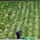 남부유통 이미지