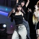 비비정지 이미지