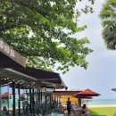 GOOD IN BEACH 이미지