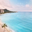 와이키키 이미지