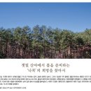 잿빛 산야에서 봄을 준비하는 ‘나목’의 희망을 찾아서 이미지