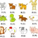 12지 간지 순서 알아보기 이미지