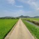 강화원공인중개사사무소 이미지