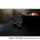 [매일복음(나해) 15-07-11] - "육신은 죽여도 영혼은 죽이지 못하는 자들을 두려워마라. 영혼도 육신도 지옥에서 멸망시키는 분을 두려워하라"(마태 10,24-33) 이미지