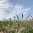 덕성여자중학교 | [삼청동/북촌/안국 맛집] 삿포로 수프 카레맛집 <도라 보울>, 테라스 분위기 카페 <진선> 내 돈 내산...