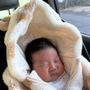 서귀포시동부보건소 | [육아일기] 오랜만에 외출, bcg 예방접종 맞으러 가는 날