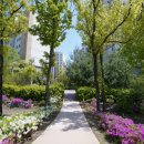 아침뜰근린공원 이미지