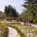 죽곡초등학교 이미지