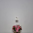 폴폴스토어 이미지