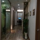 브레인한의원 이미지