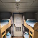 펫클라우드 이미지