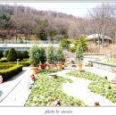 신구대학식물원 Daum카페