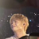 왈왈이🦴 (주인: LUCY)