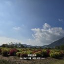 탑세일마트야채