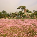 가야농장 이미지