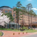 메이필드호텔 이미지