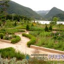 (주)플로시스 Daum카페