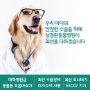 좌천동물병원 이미지