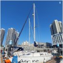 아그리나 B 이미지