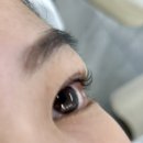 씨유목동동로점 | [찌록일상] 목동 속눈썹펌 맛집 민티크뷰티 블랙틴팅펌 후기🤍