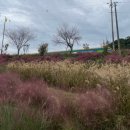 장성읍게이트볼장 이미지