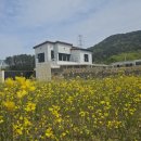 들꽃스테이 이미지