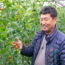 광산-평동-광산-35 이미지