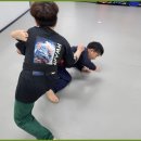 화랑합기도 특공무술 | 일산서구체육관 일산서구생활체육 화랑합기도 특공무술 아이들 다니기 좋아요