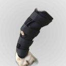 펫츠런 애견 이미지