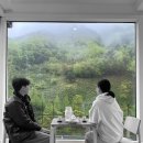 옥선명차