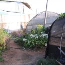 승지농장 이미지