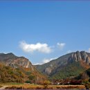 주왕산약국 이미지