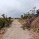 하천리-8 이미지