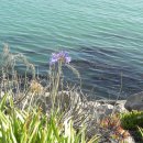 마리나타운 이미지