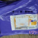 린지샵